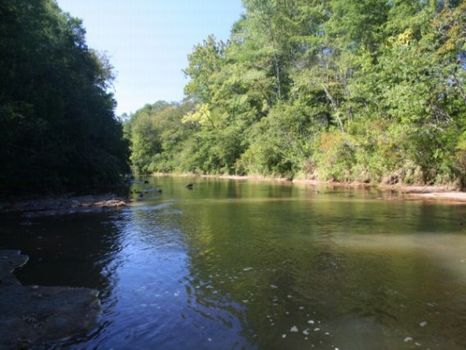 1,833 Acres Reduced : Lumpkin : Stewart County : Georgia