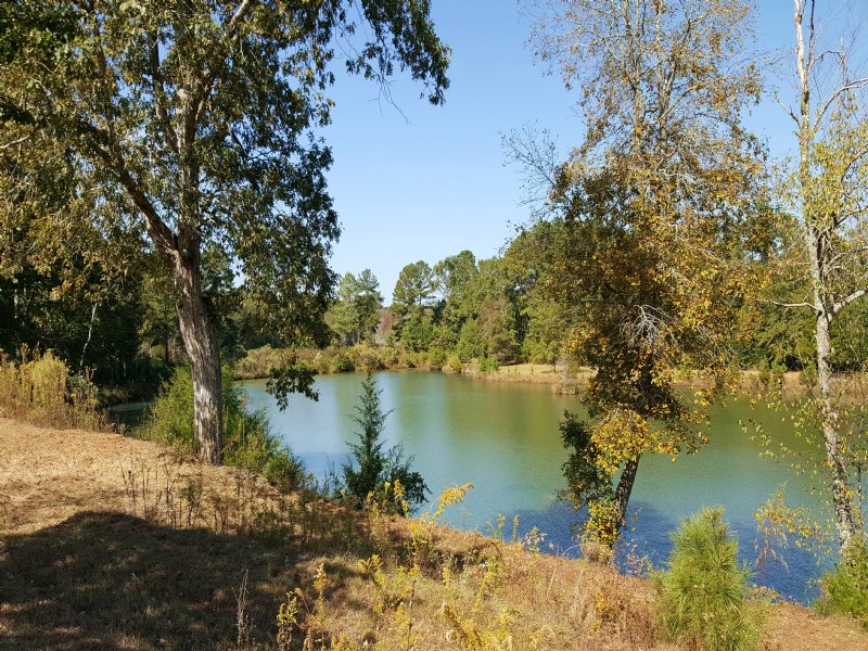 Lake, Creek, Home, Fields, Timber : Webster County : Webster County : Georgia