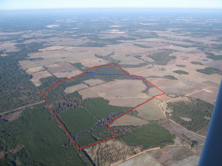 284 Acre Farm & Hunting Land : Pavo : Brooks County : Georgia