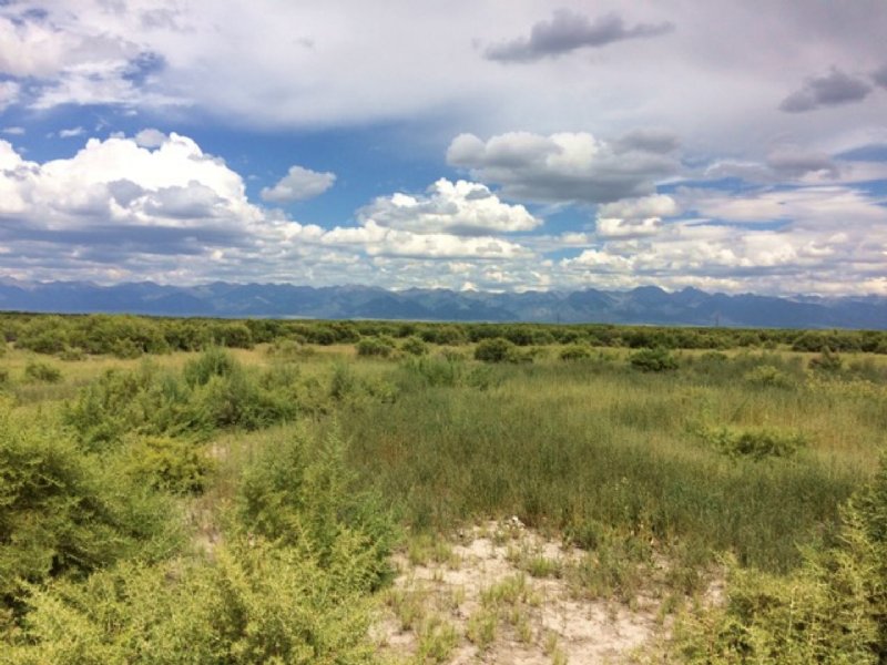 236054 - Stunning Views 36.8 Acres : Moffat : Saguache County : Colorado
