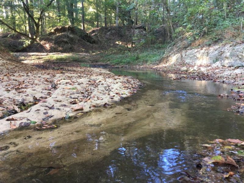 Hunting Land with Camp On Creek Jef : Pattison : Jefferson County : Mississippi