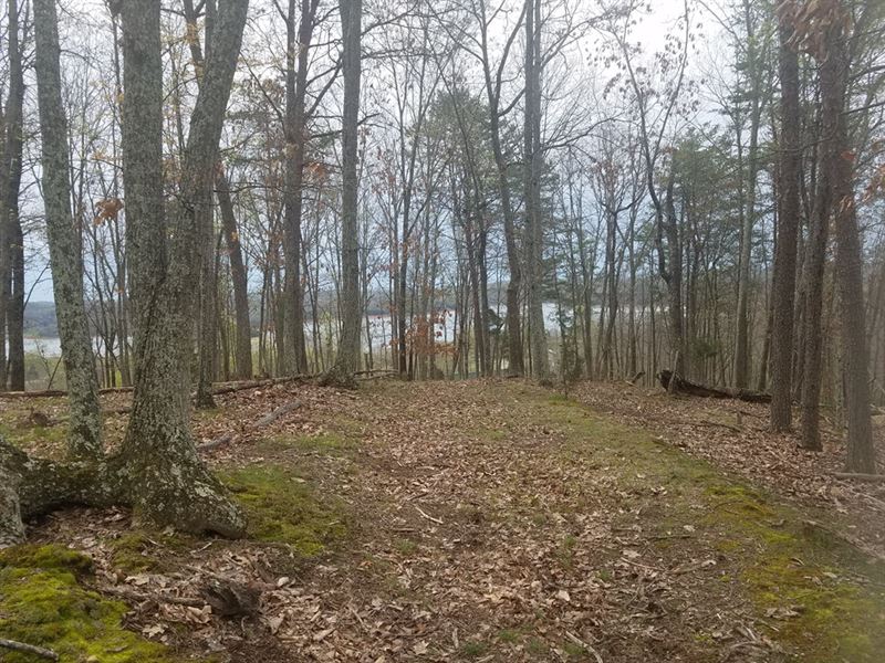 Lake View Lot with Owner Financing : Mooresburg : Hawkins County : Tennessee