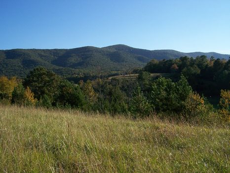 Scenic 60 Acres in Piedmont, AL : Piedmont : Calhoun County : Alabama