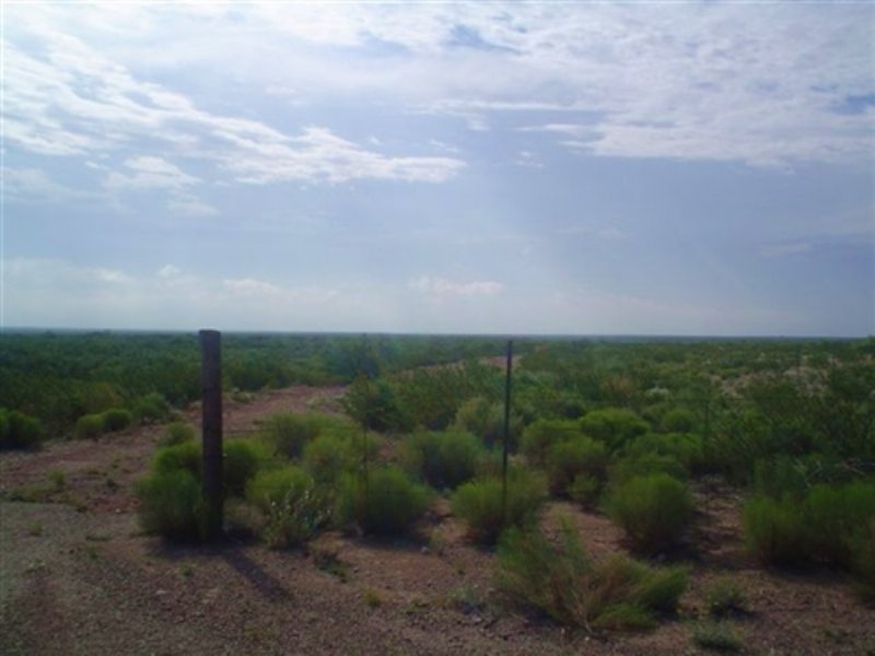 80 Acres. Terms $450/month : Pecos : Reeves County : Texas