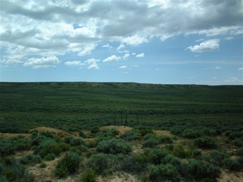 40 Acres. Terms $195/month : Wamsutter : Sweetwater County : Wyoming