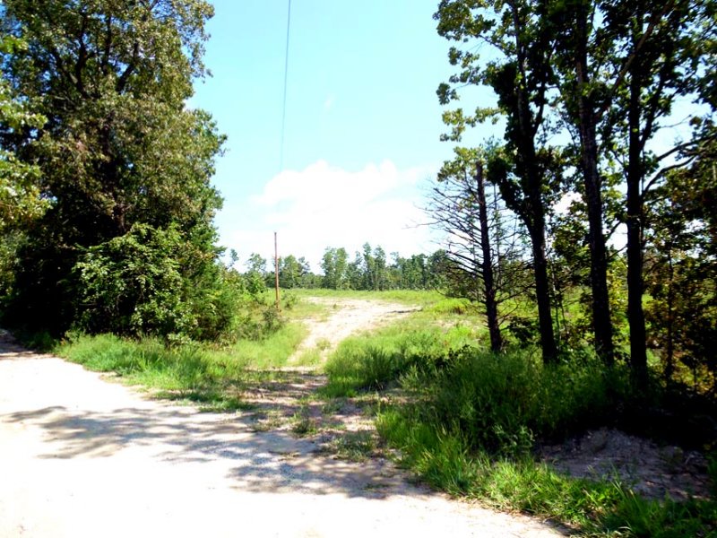 5 Acres with Electric : Cabool : Texas County : Missouri