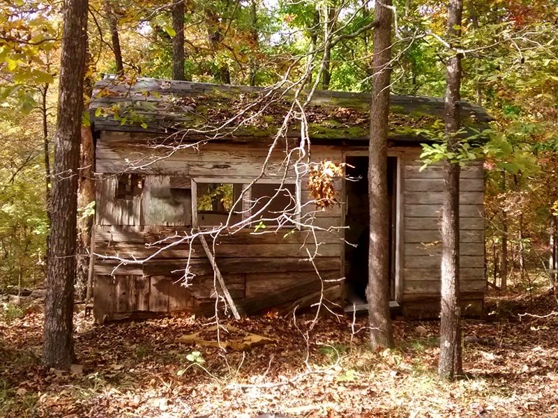 Hermit Cabin in The Woods, Electric : Evening Shade : Sharp County : Arkansas