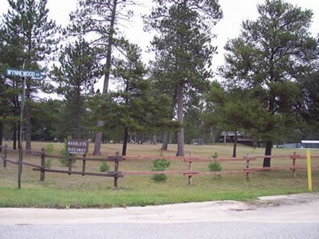 Warbler's Hideaway - Central Mi : Lovells Township : Crawford County : Michigan