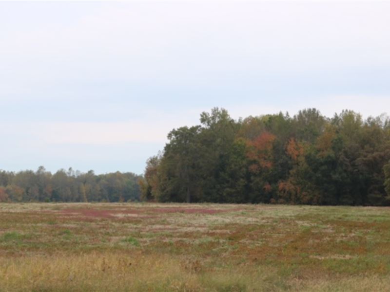 Bell Acres, 1.55 Acre Lot : Morrison : Coffee County : Tennessee