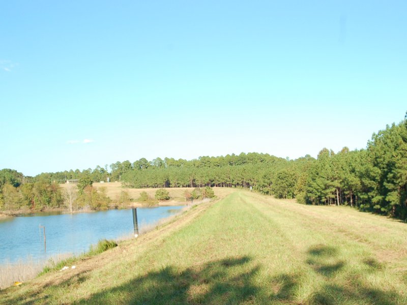 290 Acres with High Fence : Clayton : Barbour County : Alabama