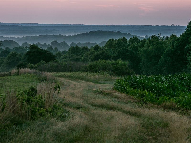 High Camp Farm On 1778 Acres : Erin : Houston County : Tennessee