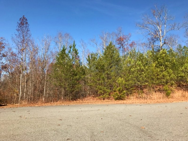 Lot 5, 5.002 +/- Acres : Fairmount : Bartow County : Georgia