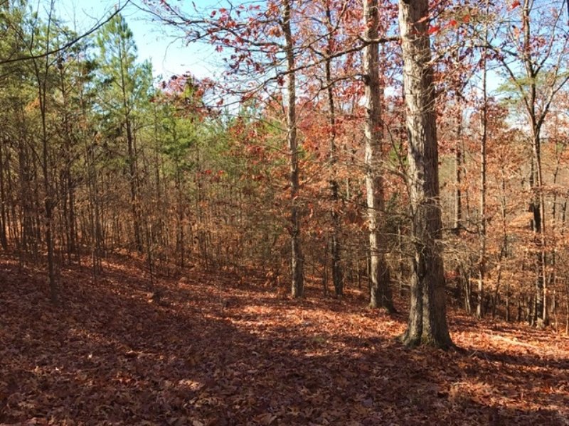 Lot 4, 5.002 +/- Acres : Fairmount : Bartow County : Georgia