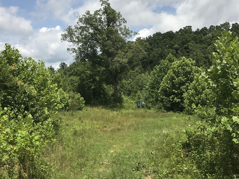 98 Acre Hunting Land/Creek/Reduced : Evening Shade : Sharp County : Arkansas