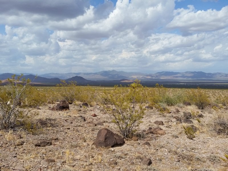 Have You Ever Wanted To Own Land : Golden Valley : Mohave County : Arizona