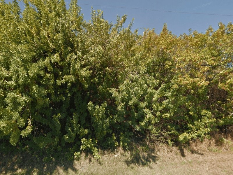 Vacant Lot in Port Charlotte : Port Charlotte : Charlotte County : Florida
