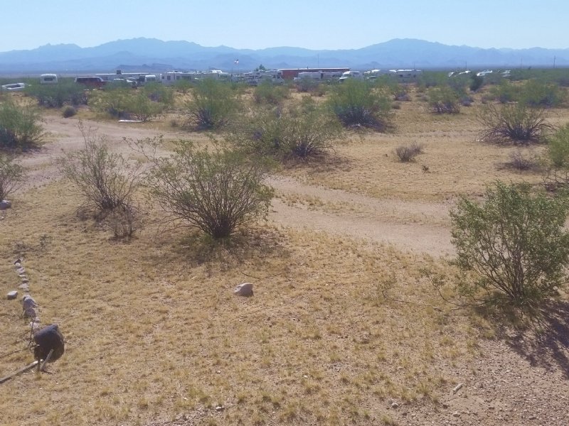 Your Winter Escape Destination : Golden Valley : Mohave County : Arizona