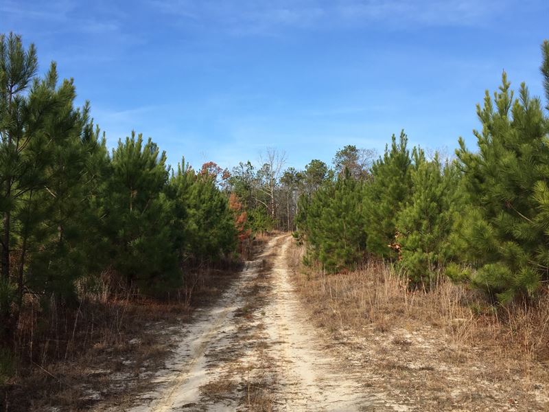 29-039 Central Plank Estate Hunting : Wetumpka : Elmore County : Alabama