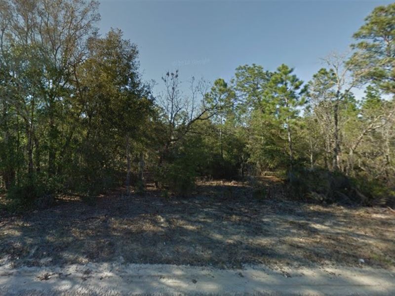 .15 Acre in Interlachen, Fl : Interlachen : Putnam County : Florida