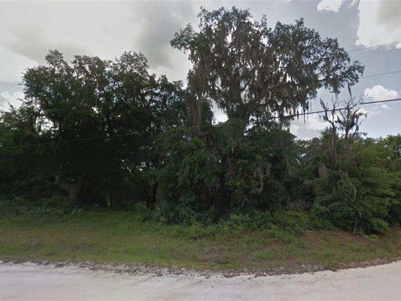 .42 Acre in Silver Springs, Fl : Silver Springs : Marion County : Florida