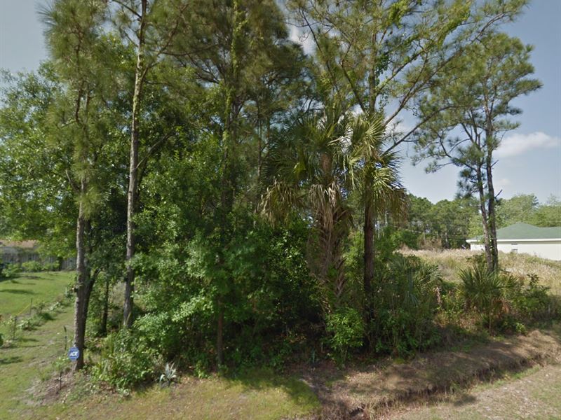 Vacant Residential Lot for Sale : Palm Bay : Brevard County : Florida