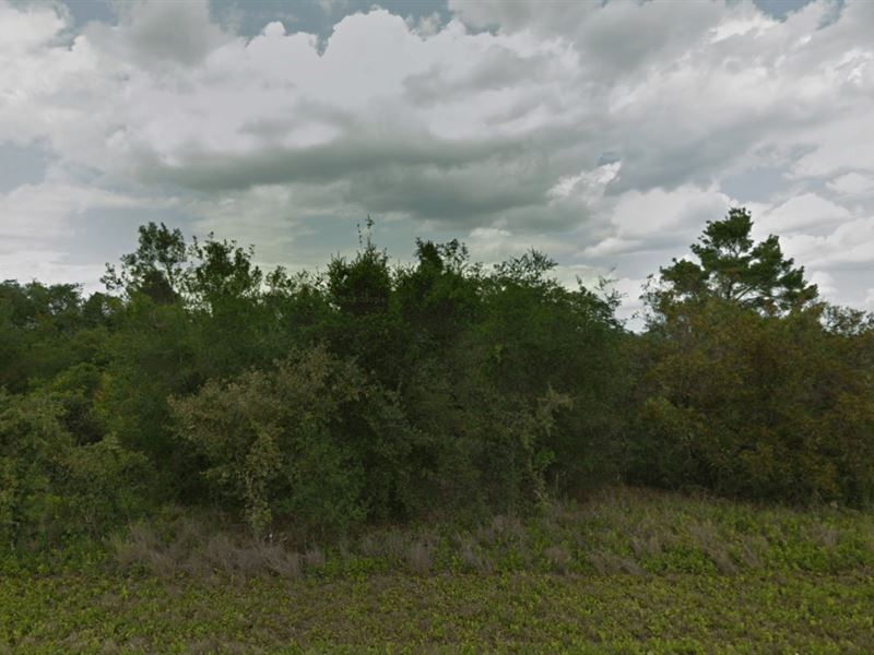 Oversized Lot for Sale : Lake Placid : Highlands County : Florida