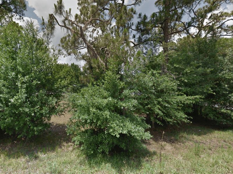 Residential Lot for Sale : Avon Park : Highlands County : Florida