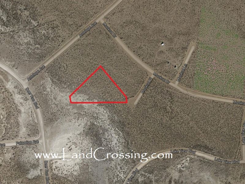 2+ Acres in Colorado,Ready To Build : Alamosa : Alamosa County : Colorado