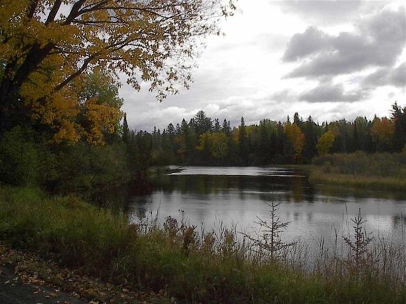 19046 Collins Rd : L'Anse : Baraga County : Michigan