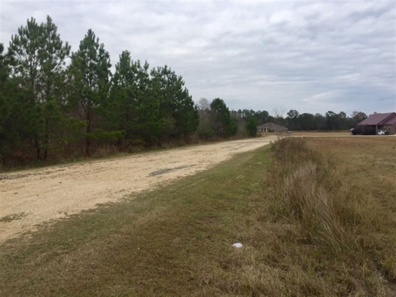 3.16 Acre Lot - Will Divide : Picayune : Pearl River County : Mississippi