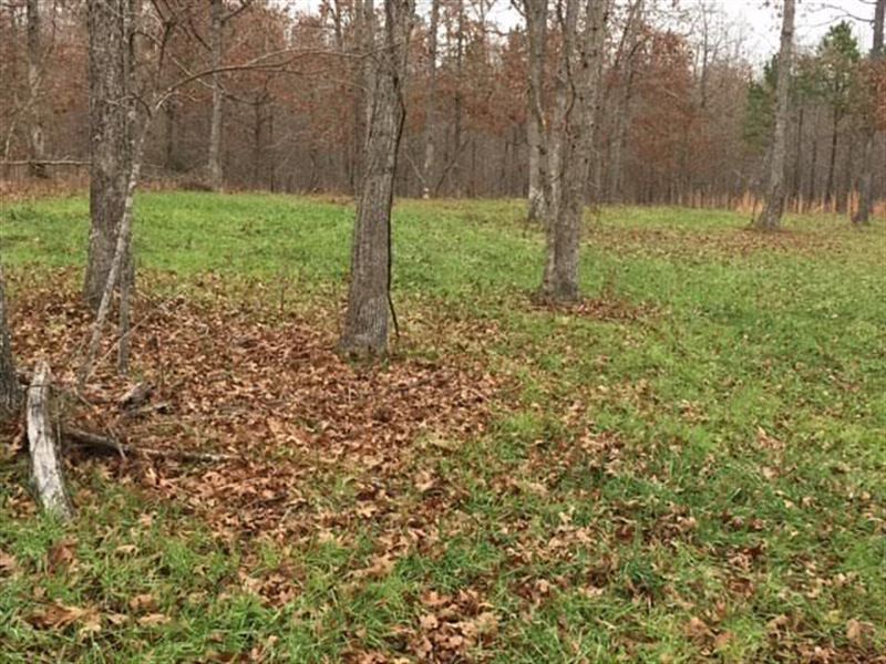 80 Acre with Nice Spring : Summersville : Shannon County : Missouri