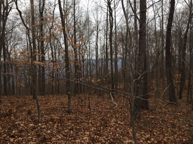 5.31+/- Mountain Views : Sewanee : Marion County : Tennessee