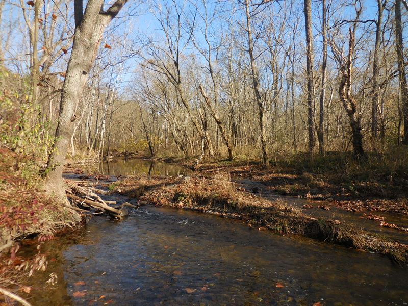 Unrestricted 20+ Acres, Land for Sale in Virginia, 117884 LANDFLIP