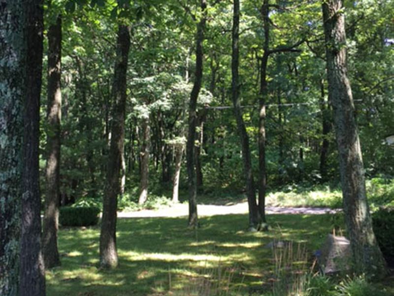 4 Mystic Mountain Lots for Sale : Catawissa : Columbia County : Pennsylvania