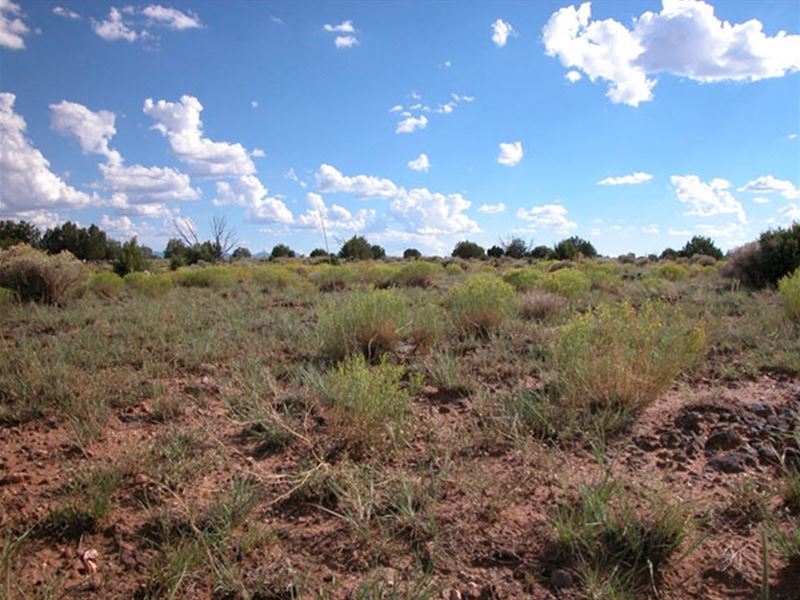 5 Acres Near Winslow Az : Wnslow : Coconino County : Arizona