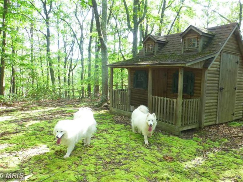 10 Private Acres : Maysville : Grant County : West Virginia
