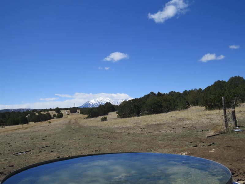 37 Silver Spurs Ranch : Walsenburg : Huerfano County : Colorado