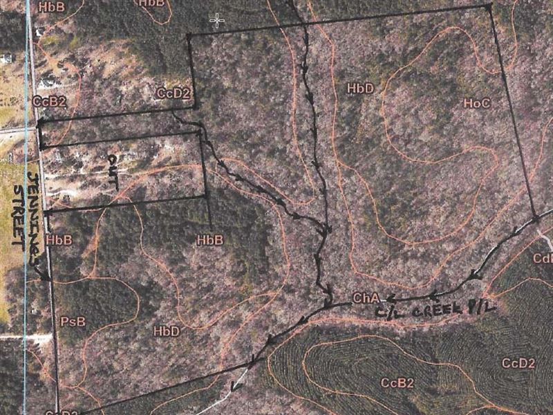 Great Recreation Tract/Timber/Farm : Crawfordville : Taliaferro County : Georgia