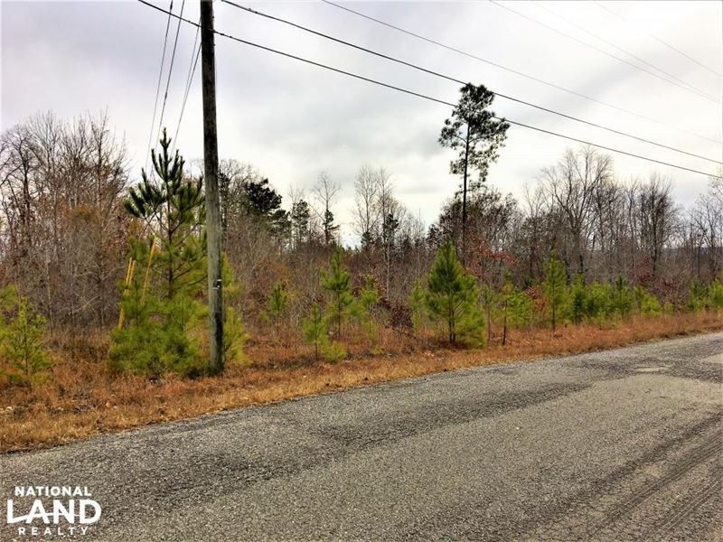 19.03 Acres Commercial Opportunity : Warrior : Blount County : Alabama