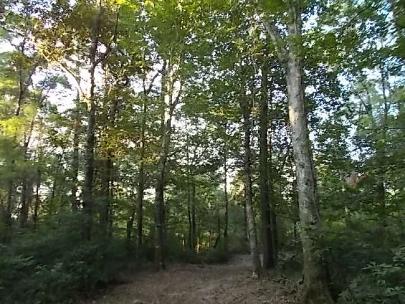 10 Acres On Magee's Creek : Tylertown : Walthall County : Mississippi