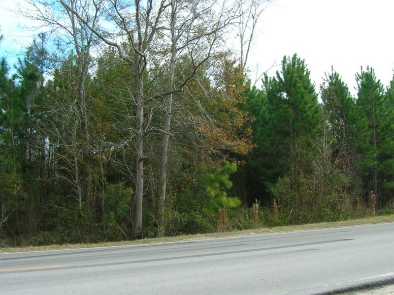 Tall Pines Parcel 13 : Starke : Bradford County : Florida