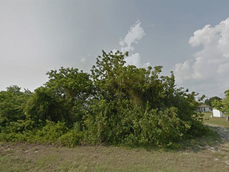 Vacant Land for Sale in Cape Coral : Cape Coral : Lee County : Florida