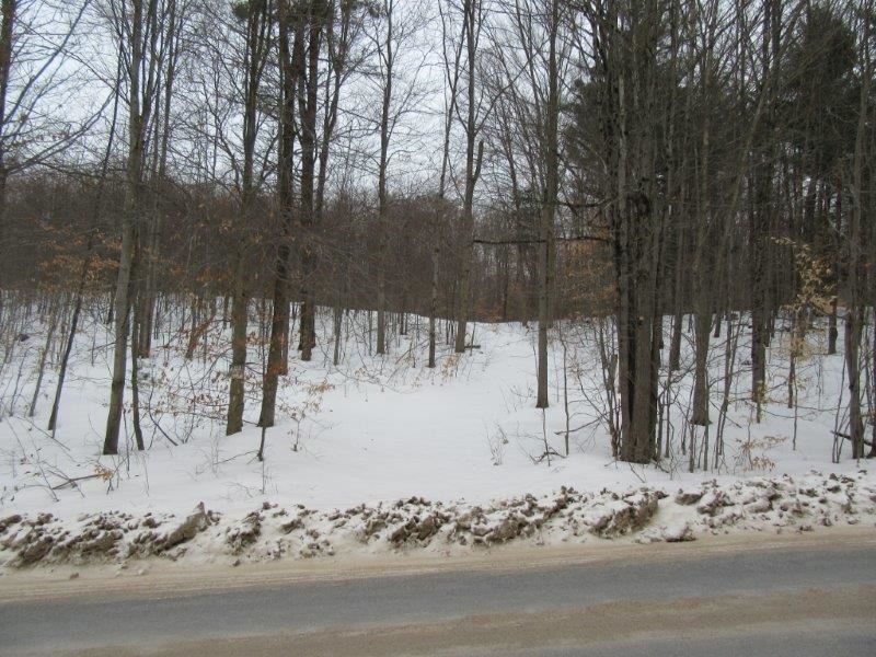 58 Acres Lyonsdale Ny Adirondacks : Lyonsdale : Lewis County : New York