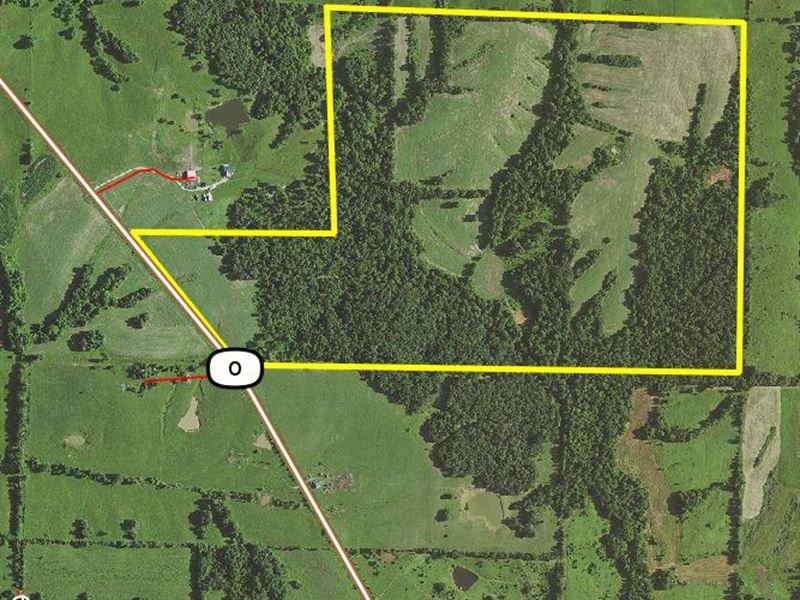 207 Acres Hwy O : Atlanta : Macon County : Missouri