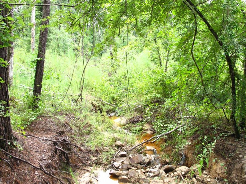 Black Jack Road : Goldonna : Natchitoches Parish : Louisiana