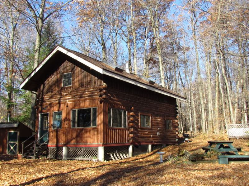 78 Acres Log Cabin Skaneateles Lake : Scott : Cortland County : New York