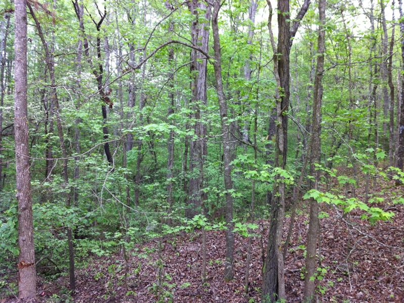 Latimer Farms, 1.71 Acre Lot : Fountain Inn : Greenville County : South Carolina