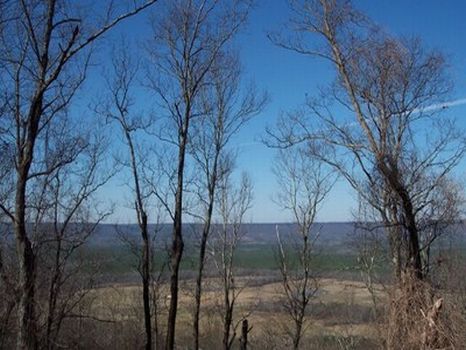 Canoe Creek Mountain : Ashville : Saint Clair County : Alabama