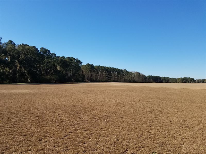 Pristine Irrigated Farm Land Land for Sale by Owner in Lakeland