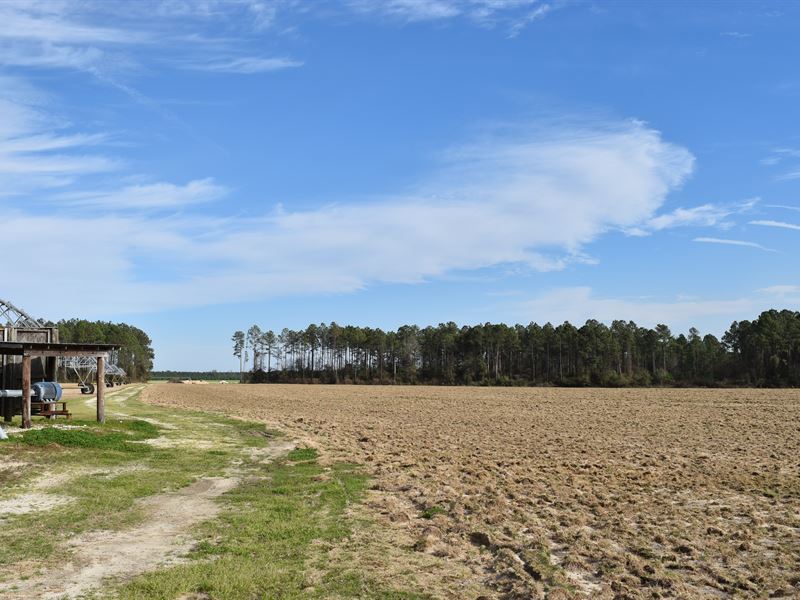 Great Small Irrigated Farm : Lakeland : Lanier County : Georgia